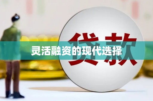 临海灵活融资的现代选择