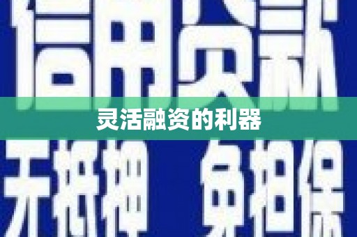 临海灵活融资的利器