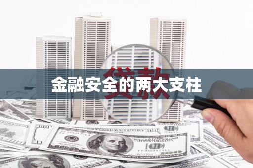 临海金融安全的两大支柱