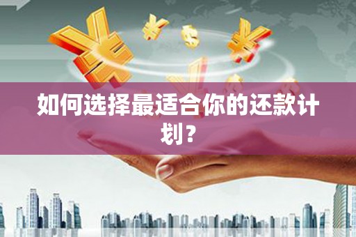 临海如何选择最适合你的还款计划？