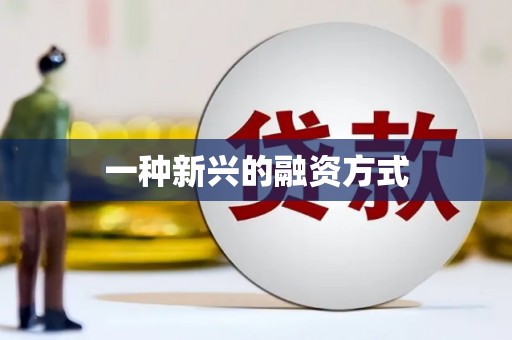 临海一种新兴的融资方式