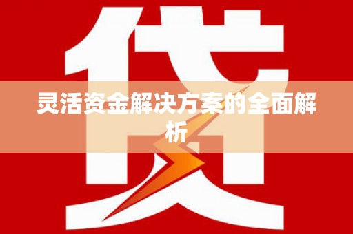 临海灵活资金解决方案的全面解析