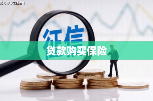 临海贷款购买保险