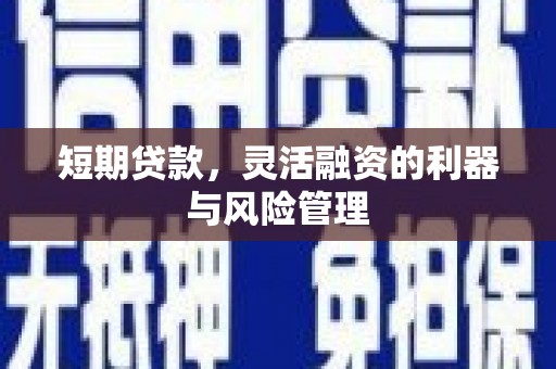 临海短期贷款，灵活融资的利器与风险管理