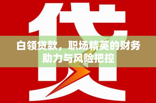 临海白领贷款，职场精英的财务助力与风险把控